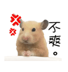 Long face Pika daily.（個別スタンプ：36）