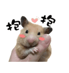 Long face Pika daily.（個別スタンプ：39）