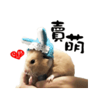 Long face Pika daily.（個別スタンプ：40）