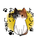 でぶねこ三姉弟（個別スタンプ：3）