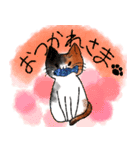 でぶねこ三姉弟（個別スタンプ：9）