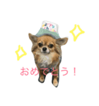 ポテ（個別スタンプ：3）