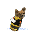 ポテ（個別スタンプ：6）