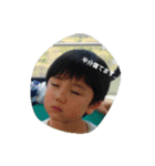 picture  stamps（個別スタンプ：4）