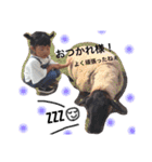 yura stamp 2（個別スタンプ：3）