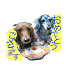 Love ＆ Ichika（個別スタンプ：2）
