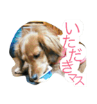 Love ＆ Ichika（個別スタンプ：18）
