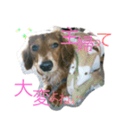 Love ＆ Ichika（個別スタンプ：22）