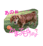 Love ＆ Ichika（個別スタンプ：40）