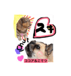 Cute dogs easy to use stamp（個別スタンプ：7）