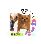 Cute dogs easy to use stamp（個別スタンプ：14）