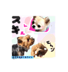 Cute dogs easy to use stamp（個別スタンプ：30）