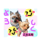 Cute dogs easy to use stamp（個別スタンプ：32）