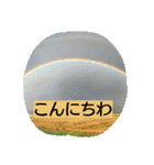 maruru with love（個別スタンプ：6）
