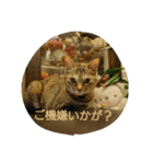 maruru with love（個別スタンプ：9）