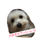 ゆきなのワンスタンプ（個別スタンプ：7）