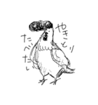 regent chicken（個別スタンプ：1）