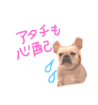 ひなたとろびん1（個別スタンプ：8）
