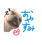 ひなたとろびん1（個別スタンプ：14）