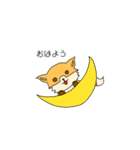 きつねエンジニア（個別スタンプ：28）
