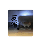 たいしょう（個別スタンプ：3）
