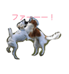 ボンボンぺぺ（個別スタンプ：4）