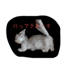 子猫の すたんぷ 001（個別スタンプ：4）