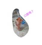 Our pet（個別スタンプ：3）