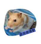 Our pet（個別スタンプ：8）
