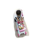 あらた(日常編)（個別スタンプ：17）