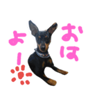 haruki.reku（個別スタンプ：2）