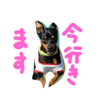 haruki.reku（個別スタンプ：3）