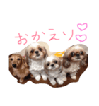かめきち。（個別スタンプ：5）