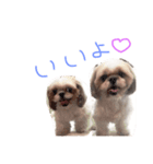 かめきち。（個別スタンプ：6）