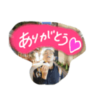 imaisan2（個別スタンプ：2）
