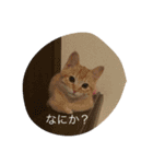ニャンコだより（個別スタンプ：16）