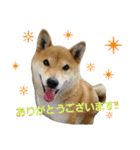 teamdobon（個別スタンプ：7）
