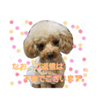 teamdobon（個別スタンプ：14）