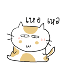 Chubby Cat MaoMao Eat Fish V5（個別スタンプ：19）