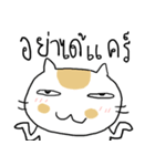 Chubby Cat MaoMao Eat Fish V5（個別スタンプ：22）