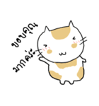 Chubby Cat MaoMao Eat Fish V5（個別スタンプ：29）