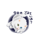 きれいな瞳の白いネコ（個別スタンプ：2）