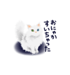 きれいな瞳の白いネコ（個別スタンプ：5）