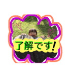 KIMURA family.（個別スタンプ：9）