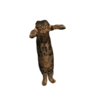 CATAIR②（個別スタンプ：2）