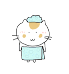 Chubby Cat MaoMao V2（個別スタンプ：19）