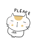 Chubby Cat MaoMao V2（個別スタンプ：37）