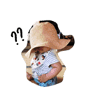 iin_stamp（個別スタンプ：28）