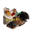リアクション1（個別スタンプ：15）