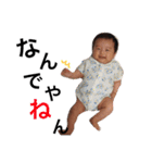 はる君 3（個別スタンプ：20）